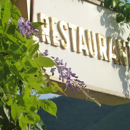 Hotel Schoen Am Rhein 3*