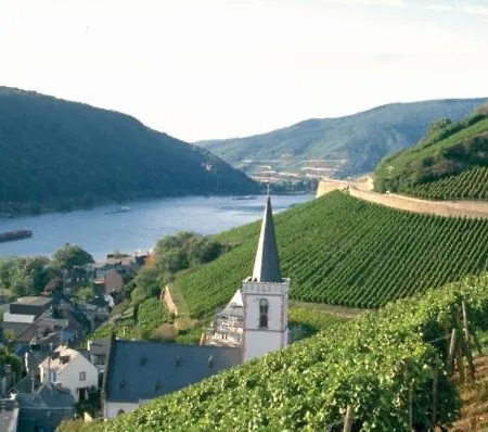 Hotel Schoen Am Rhein 3*