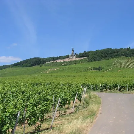 Schoen Am Rhein 3* Ruedesheim am Rhein