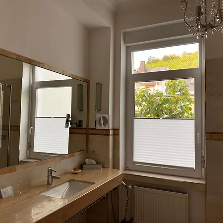 Hotel Schoen Am Rhein 3*