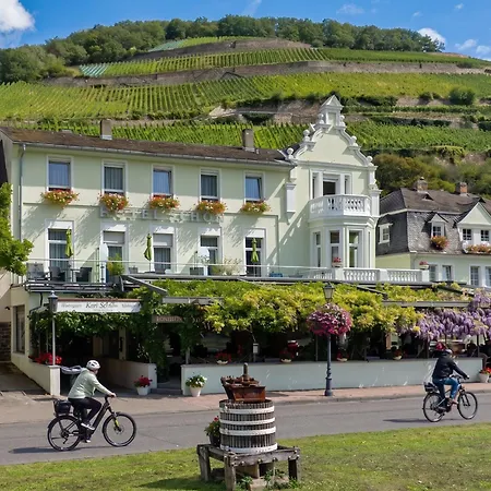 Schoen Am Rhein Hotel 3*