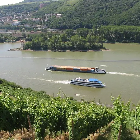 Hotel Schoen Am Rhein 3*