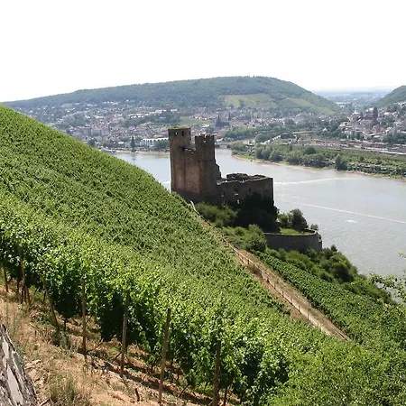 Schoen Am Rhein