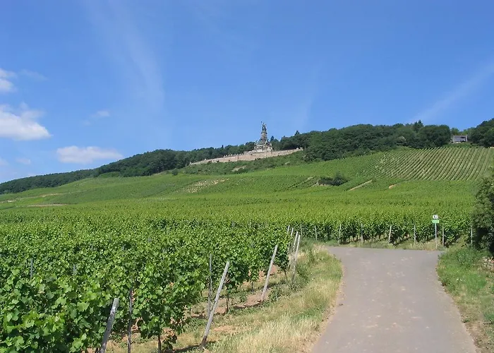 Schoen 3* Rüdesheim am Rhein
