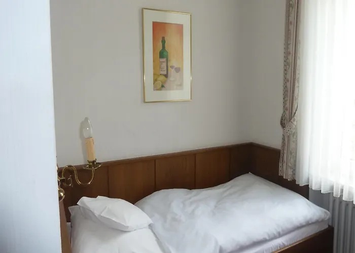 Schoen Ξενοδοχείο Rüdesheim am Rhein